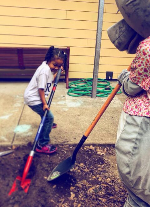 sadie-dig
