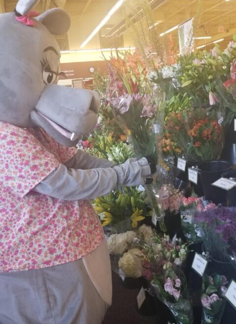 sadie-flowers