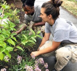 Sabin CDC 2019 Give!Guide Campaign for Green Spaces